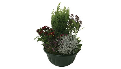 Coupe de plantes