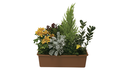 Jardinière